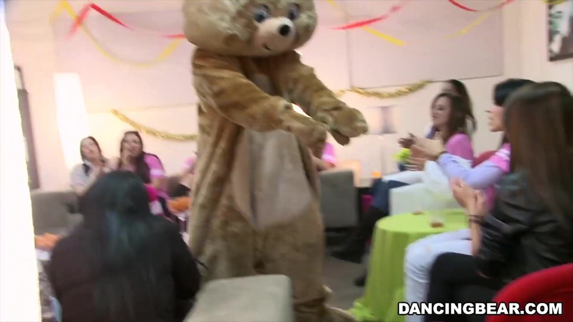 Dancing bear: the stripping bears house call - telegraph