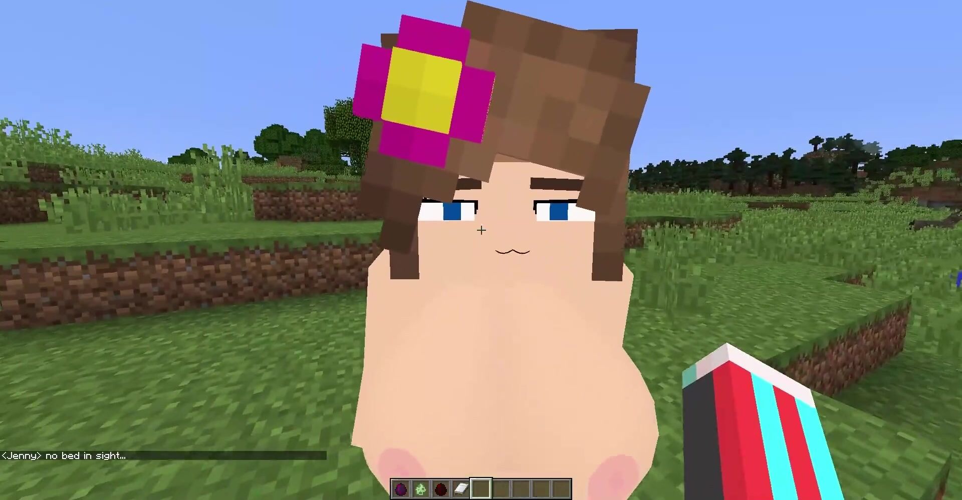 Basically Minecraft Sex... - FAPCAT